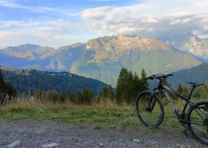 Appartement Pied Des Pistes - Samoens 1600